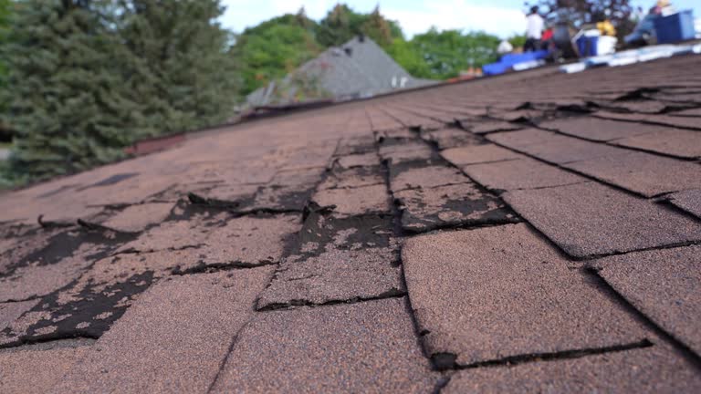 Best Roof Maintenance and Cleaning  in Miami, AZ