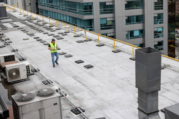 Best Asphalt Shingles Roofing  in Miami, AZ
