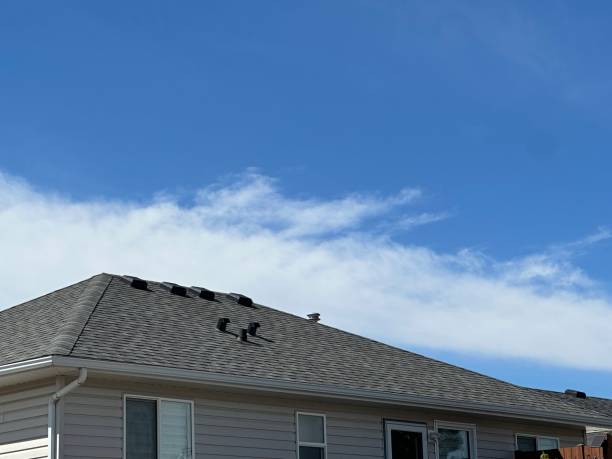 Best Asphalt Shingle Roofing  in Miami, AZ